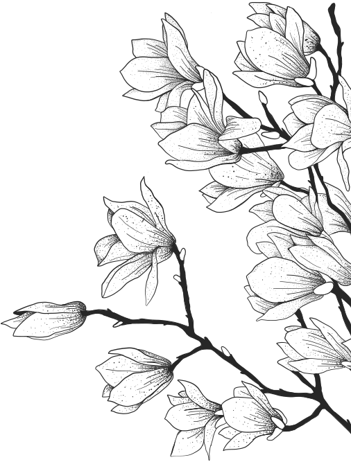 천부교 꽃