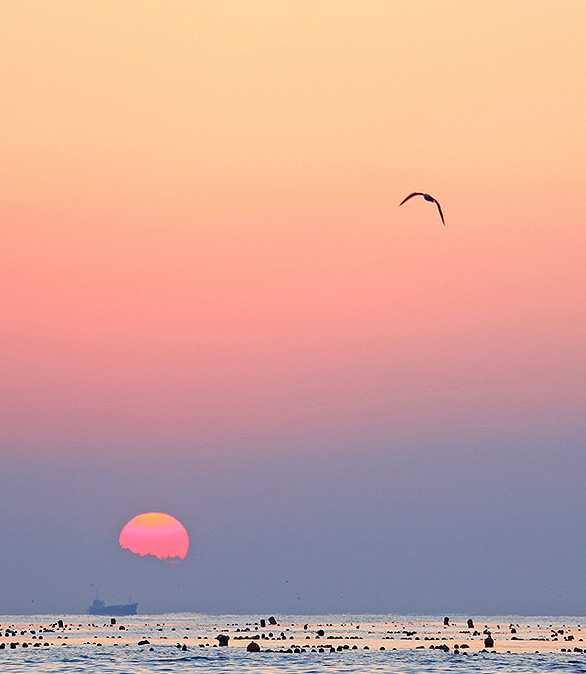 해돋이