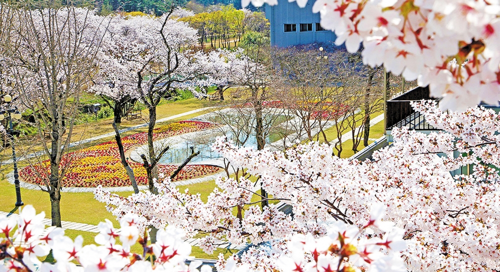 귀한 은혜를 받는 축복일, 마음의 그릇을 준비해야 해요