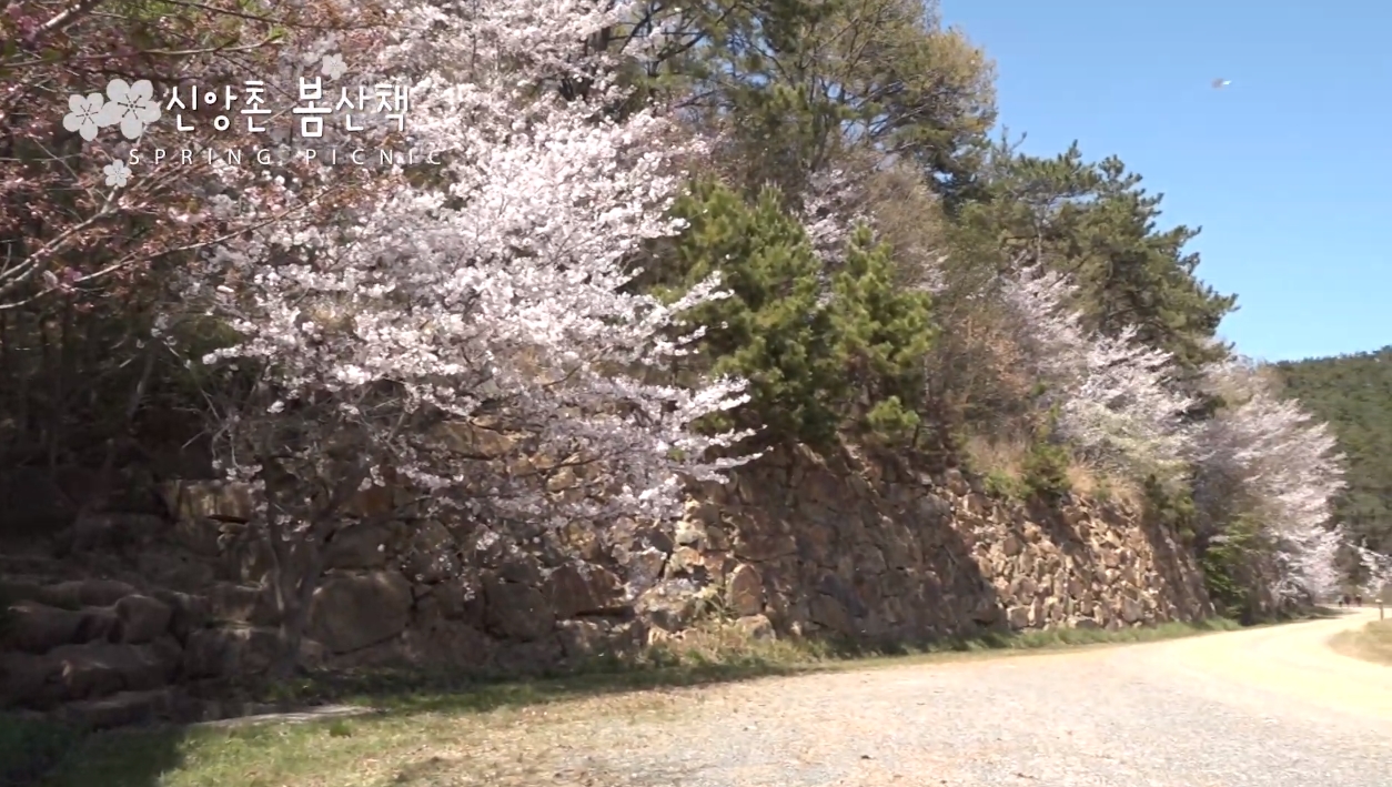 신앙촌 봄산책