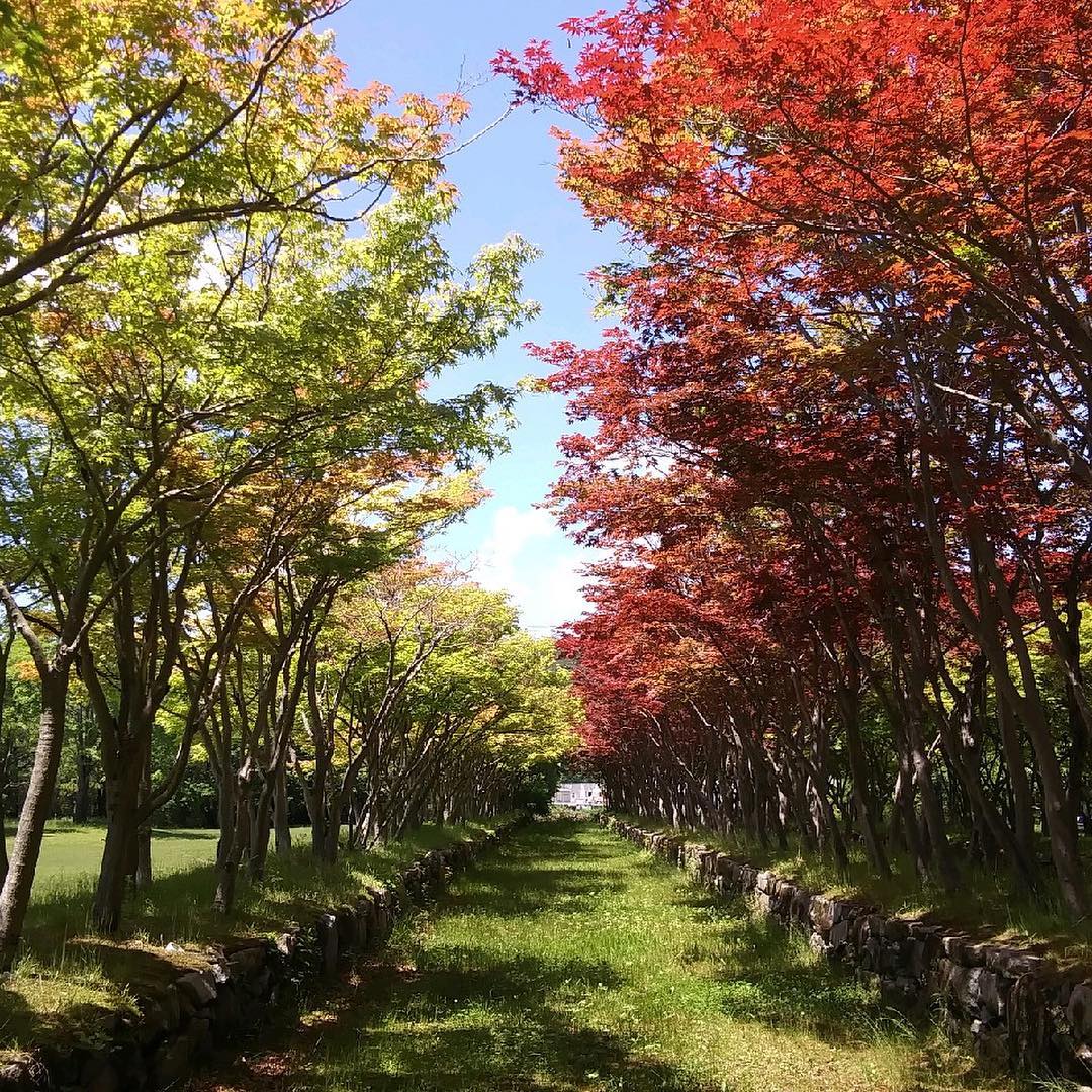 #신앙촌 산책길과 가을하늘?