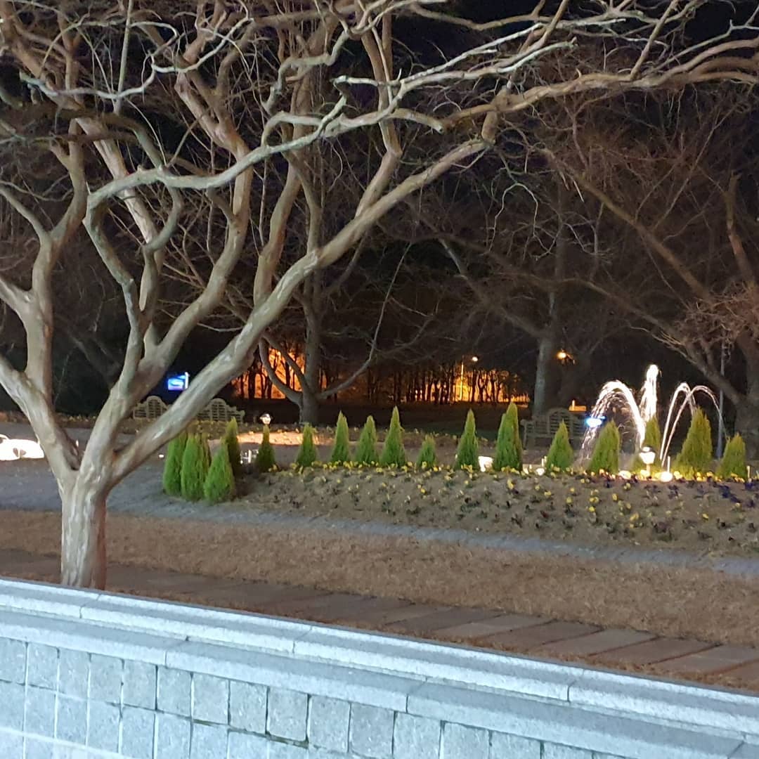 #분수대 #천부교회캠프장 #밤