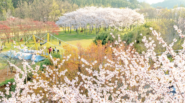 신앙촌 봄맞이 산책