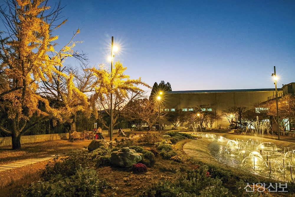 추수감사절 현장 & 스토리