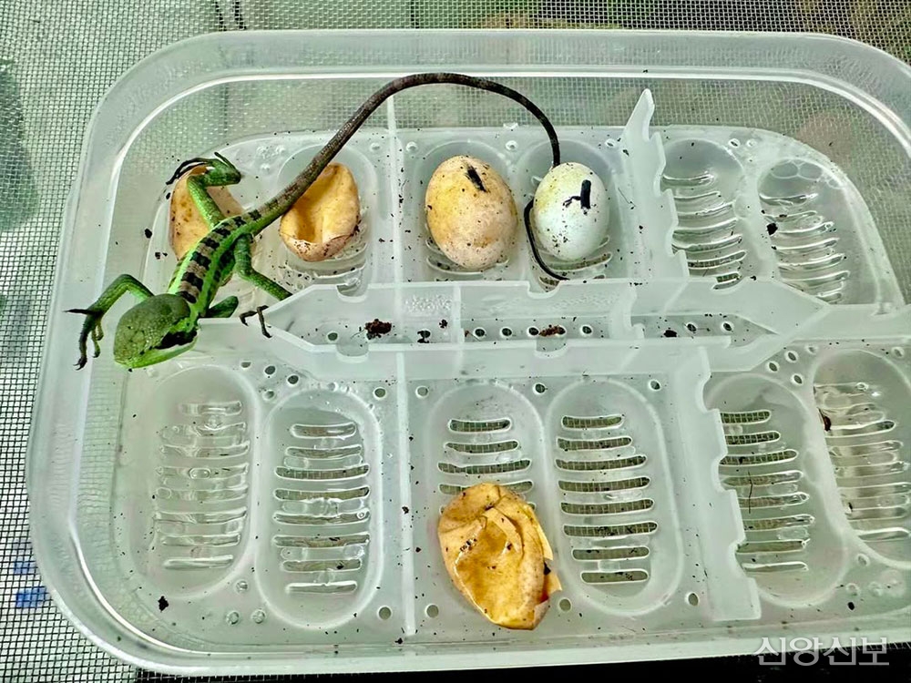 세계 종교 탐구 <52> 마리아를 숭배하는 것만 이단, 사이비인가? ②