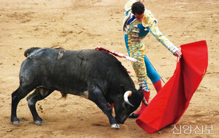 잔혹한 투우 축복 사제들에 단절 촉구